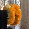 Orange gajray